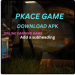 PKACE GAME
